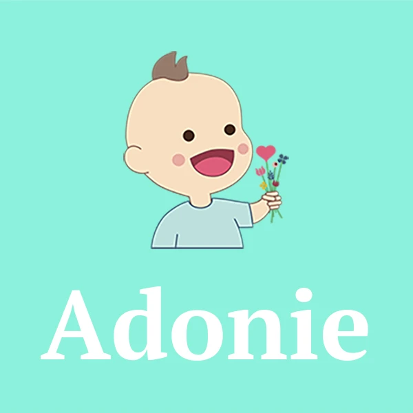 Name Adonie