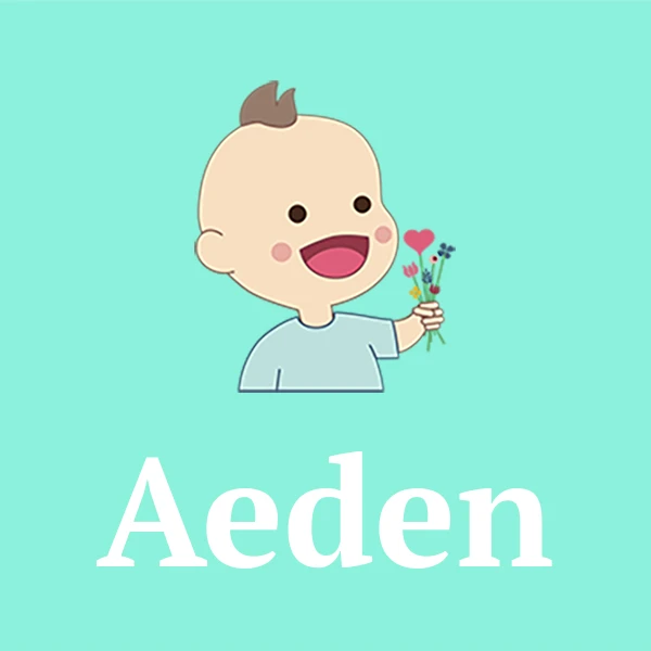 Name Aeden