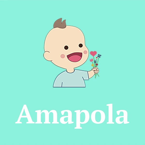 Name Amapola