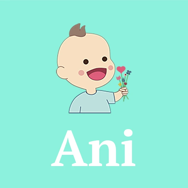 Name Ani