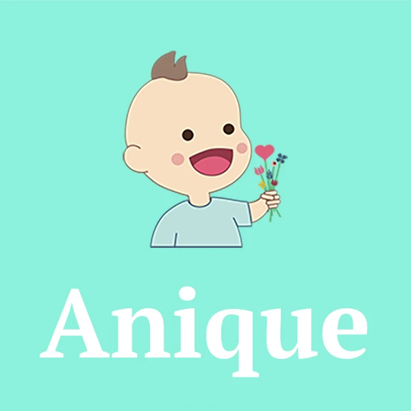 Name Anique