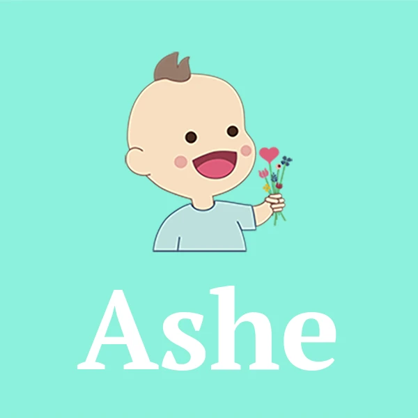 Name Ashe