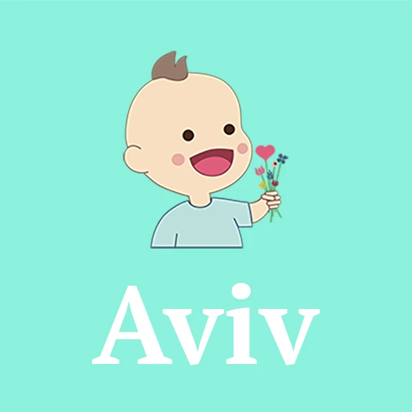 Name Aviv