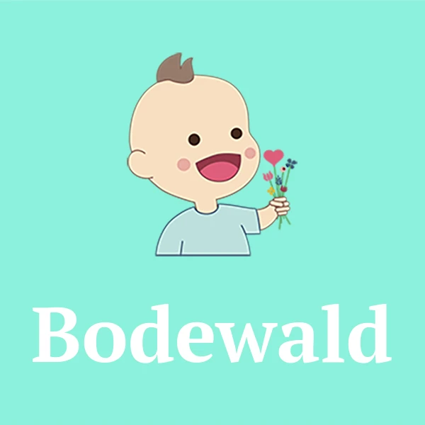 Name Bodewald