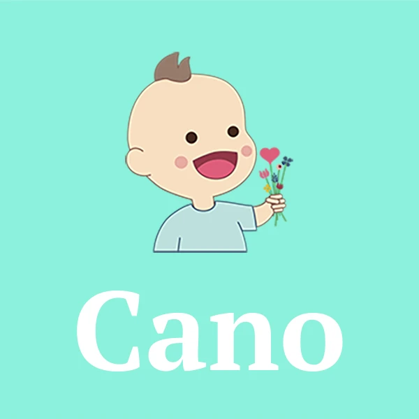 Name Cano