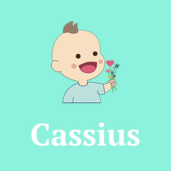 Name Cassius