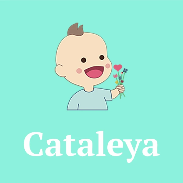 Name Cataleya
