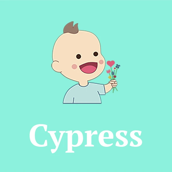Name Cypress