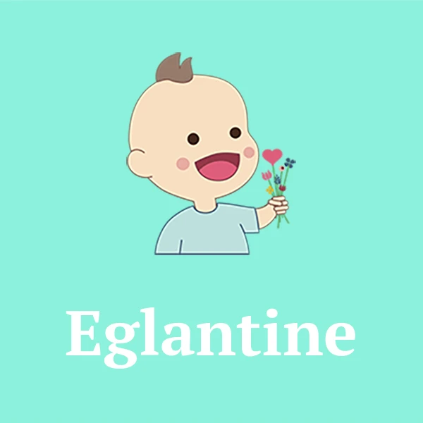 Name Eglantine