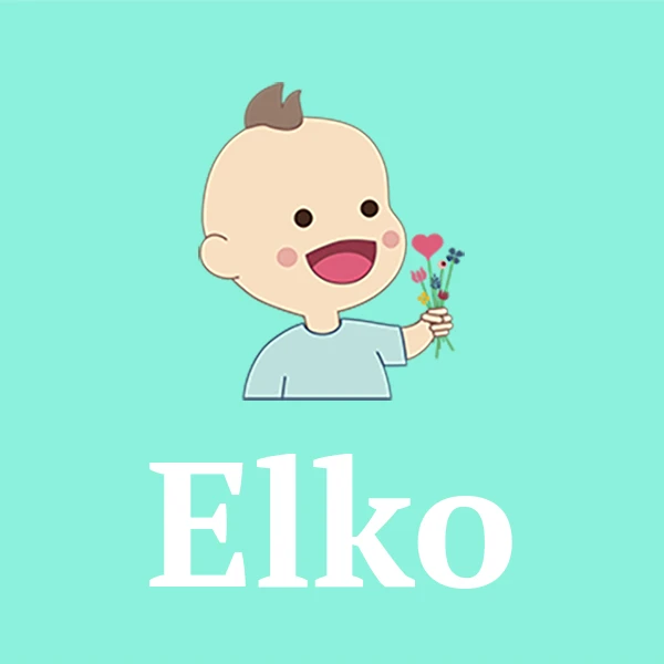 Name Elko