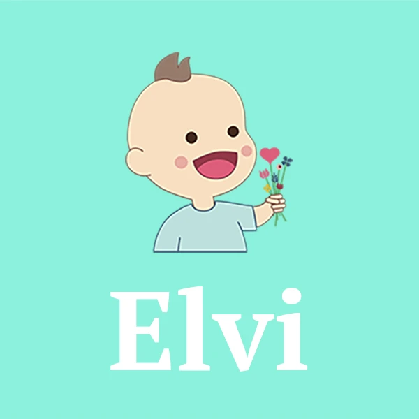 Name Elvi