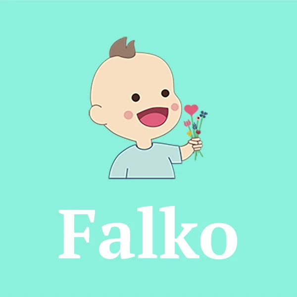 Name Falko
