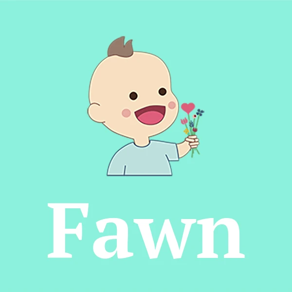 Name Fawn