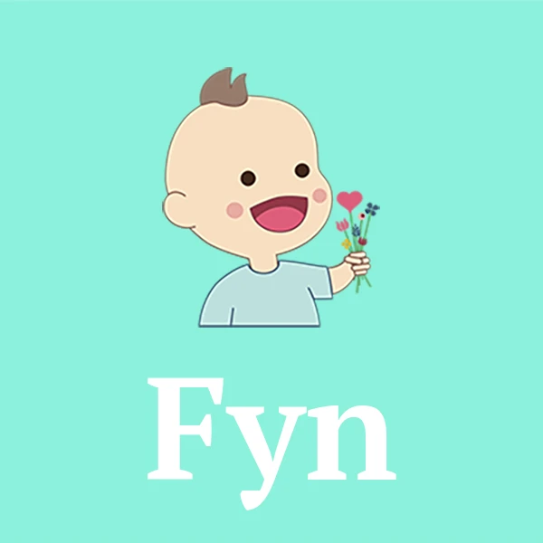 Name Fyn