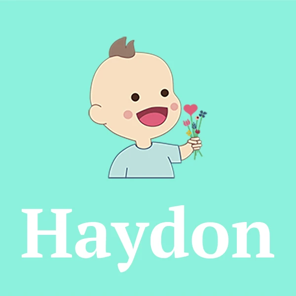Name Haydon