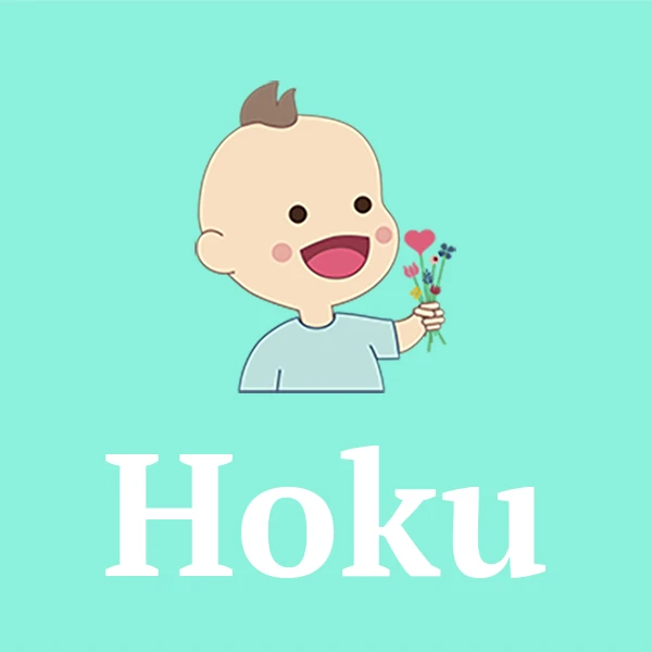 Name Hoku