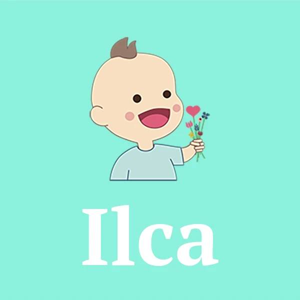 Name Ilca
