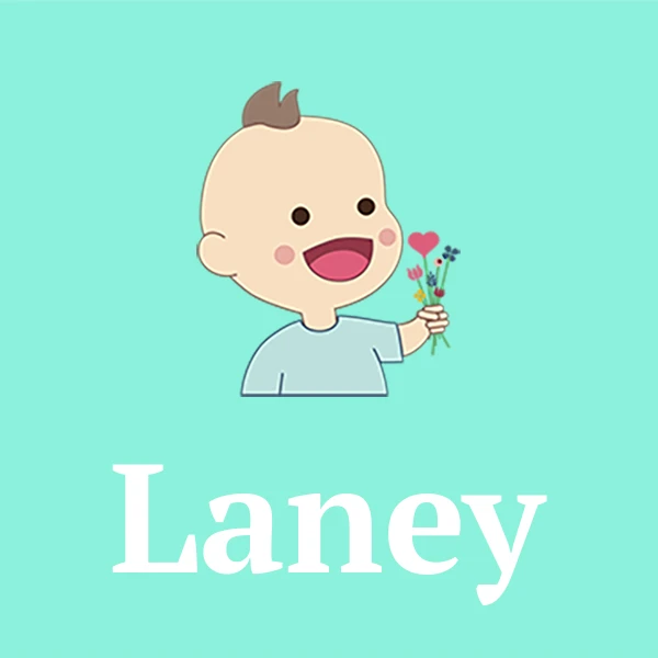 Name Laney