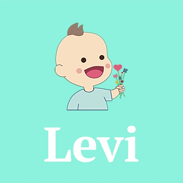Name Levi