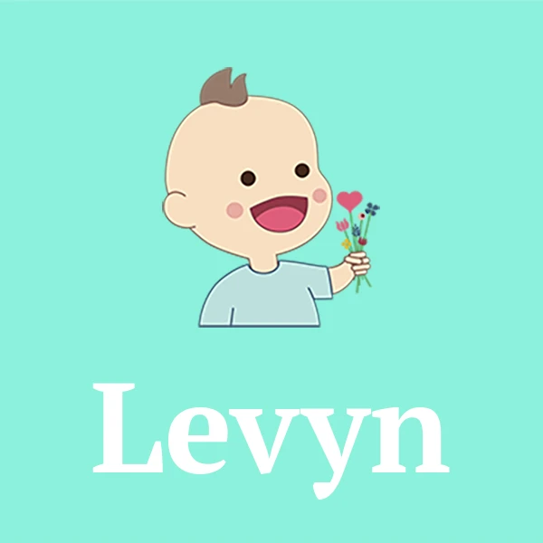 Name Levyn