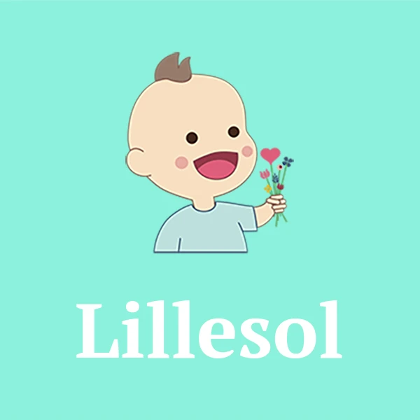 Name Lillesol