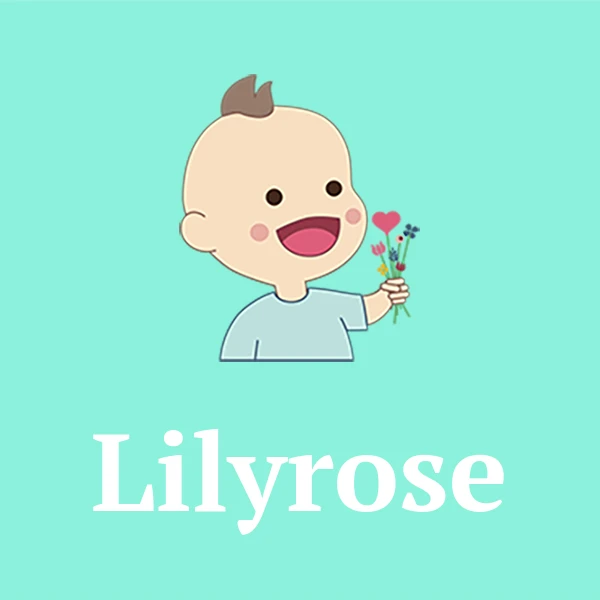 Name Lilyrose