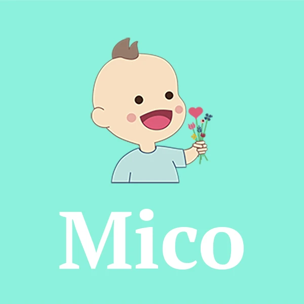 Name Mico