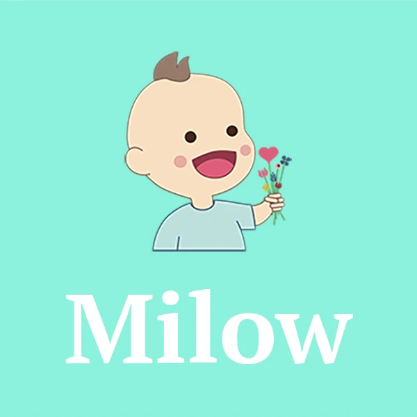 Name Milow