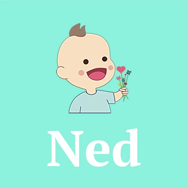 Name Ned