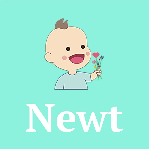 Name Newt