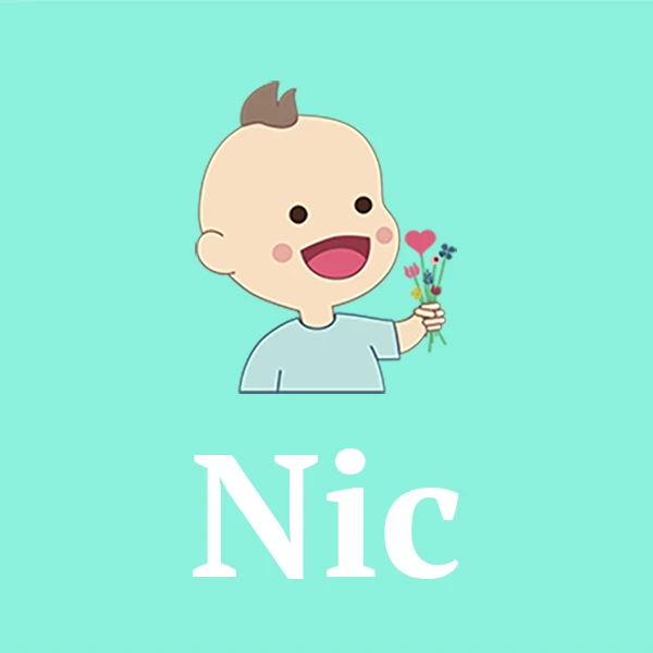 Name Nic