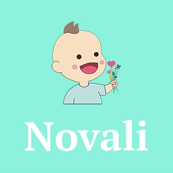 Name Novali