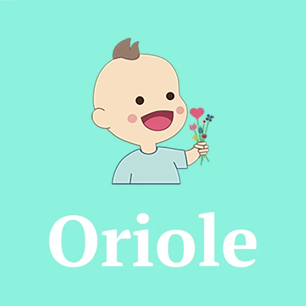 Name Oriole