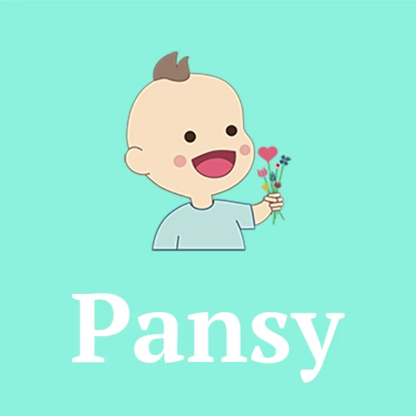 Name Pansy