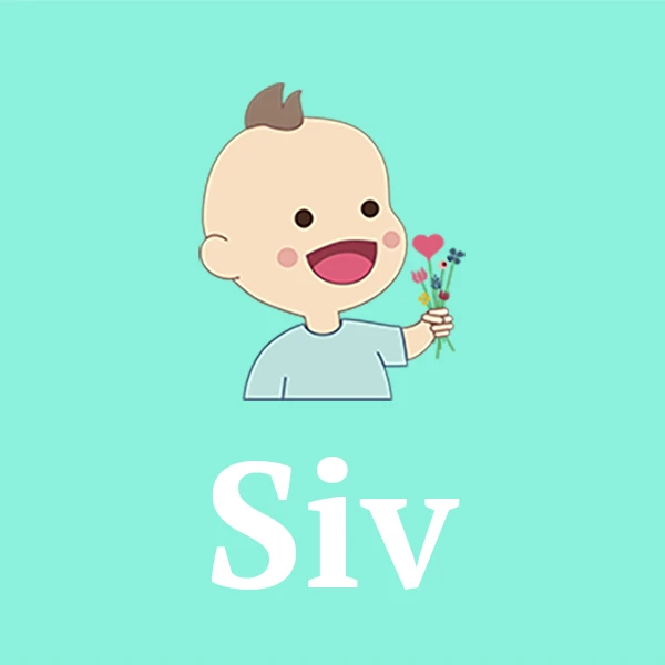 Name Siv