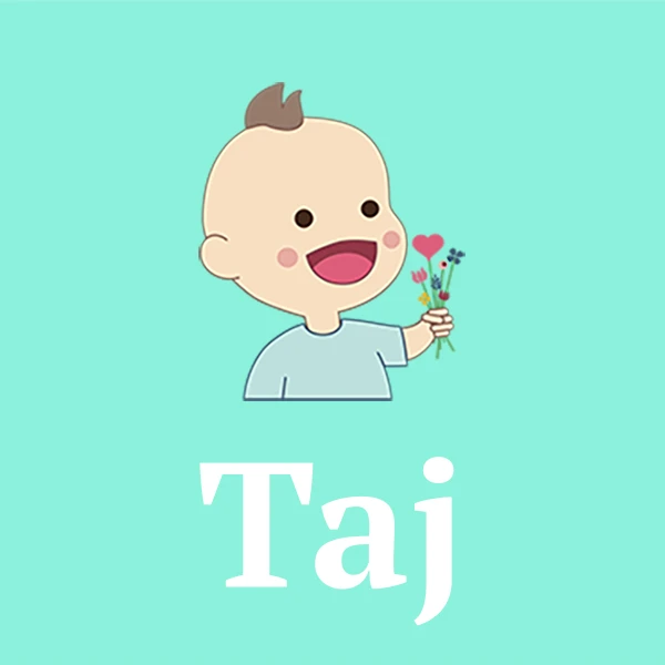 Name Taj