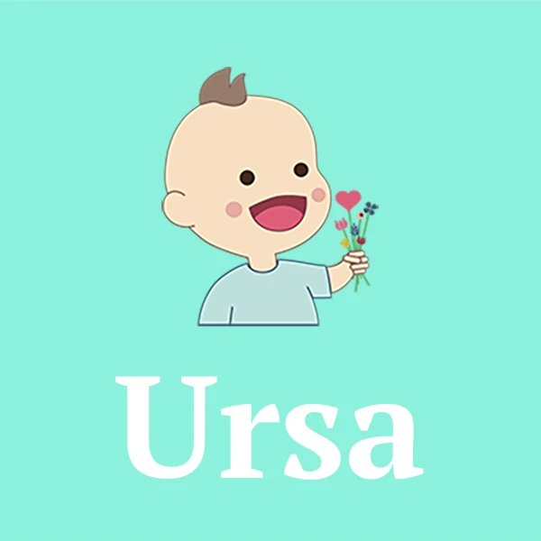 Name Ursa