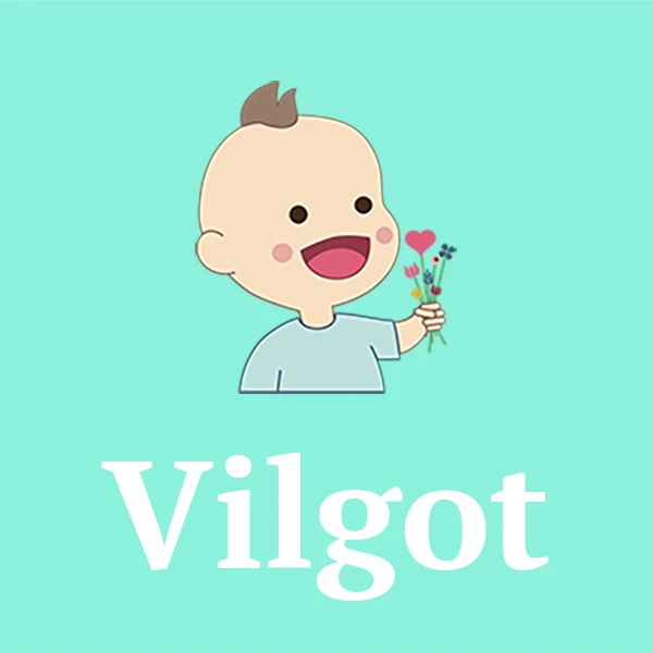 Name Vilgot