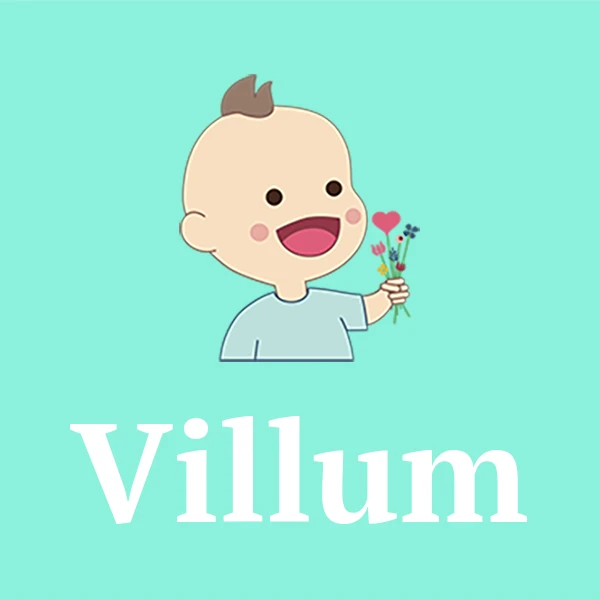Name Villum