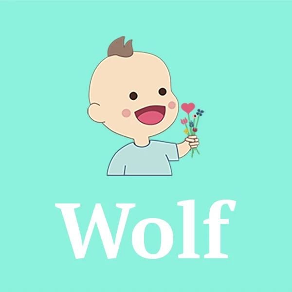 Name Wolf