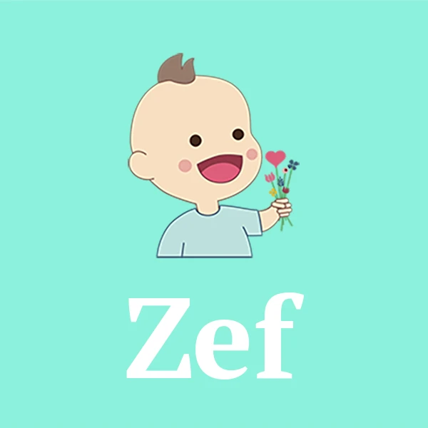 Name Zef