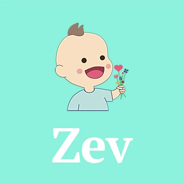 Name Zev
