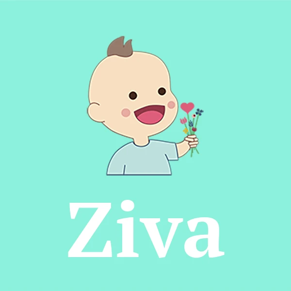Name Ziva